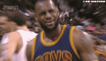 Lebron James What GIF by SB Nation Lebron James What GIF by SB Nation