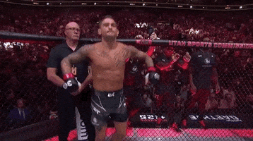 Mixed Martial Arts Sport GIF by UFC Mixed Martial Arts Sport GIF by UFC