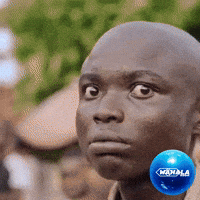 I See You Wow GIF by Wahala Room I See You Wow GIF by Wahala Room