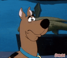 Shocked Dog GIF by Scooby-Doo Shocked Dog GIF by Scooby-Doo