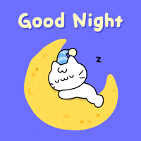 Good Night Cat GIF by Mikitti Good Night Cat GIF by Mikitti