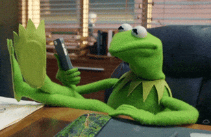 Kermit The Frog No GIF by Muppet Wiki Kermit The Frog No GIF by Muppet Wiki