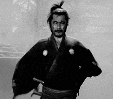 Samurai GIF Samurai GIF