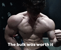 Bulk Bulking GIF Bulk Bulking GIF