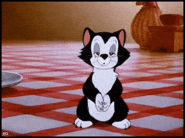 Walt Disney Cat GIF Walt Disney Cat GIF