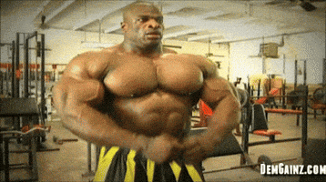 bodybuilding GIF bodybuilding GIF
