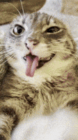 6 7 GIF 6 7 GIF