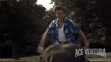 jim carrey ride GIF jim carrey ride GIF