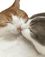 Kisses Love GIF by Alissandra Kisses Love GIF by Alissandra