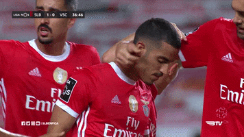 Sl Benfica Hug GIF by Sport Lisboa e Benfica Sl Benfica Hug GIF by Sport Lisboa e Benfica