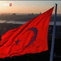 19 MayΔ±s Flag GIF by TRT 19 MayΔ±s Flag GIF by TRT