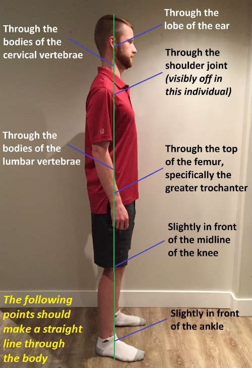 Proper Posture and Postural Cues - Nova Physiotherapy
