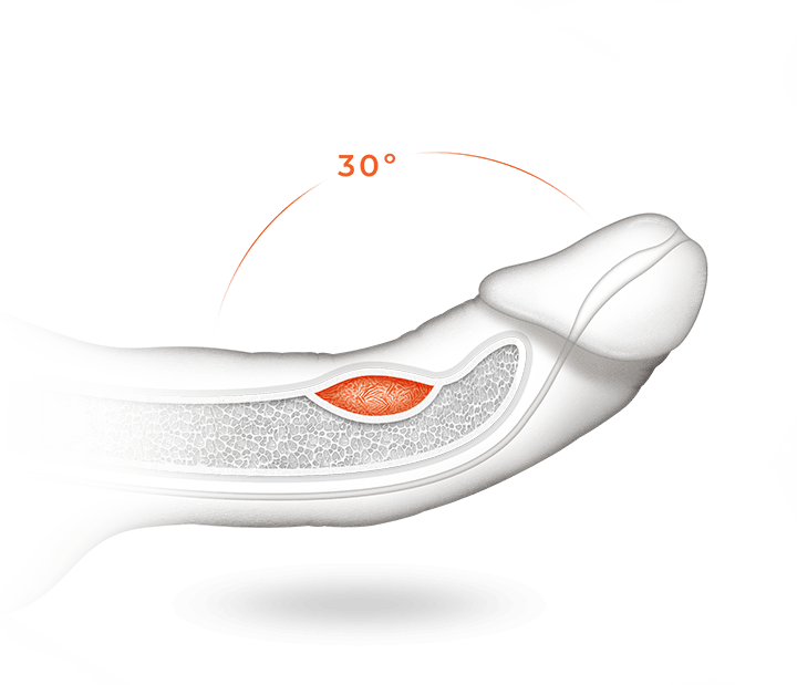 30-degrees-curved-penis.png