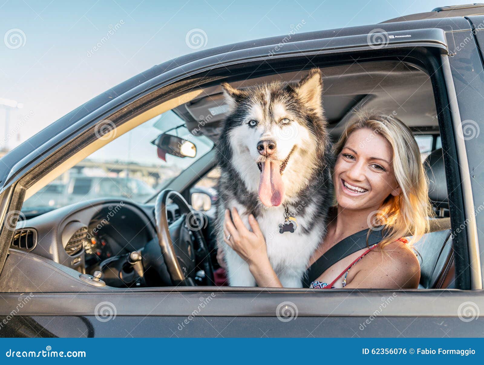 Dog and woman in a car stock photo. Image of camera ...