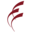 www.sbpdiscovery.org