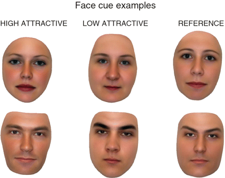 facial-attractiveness1.gif