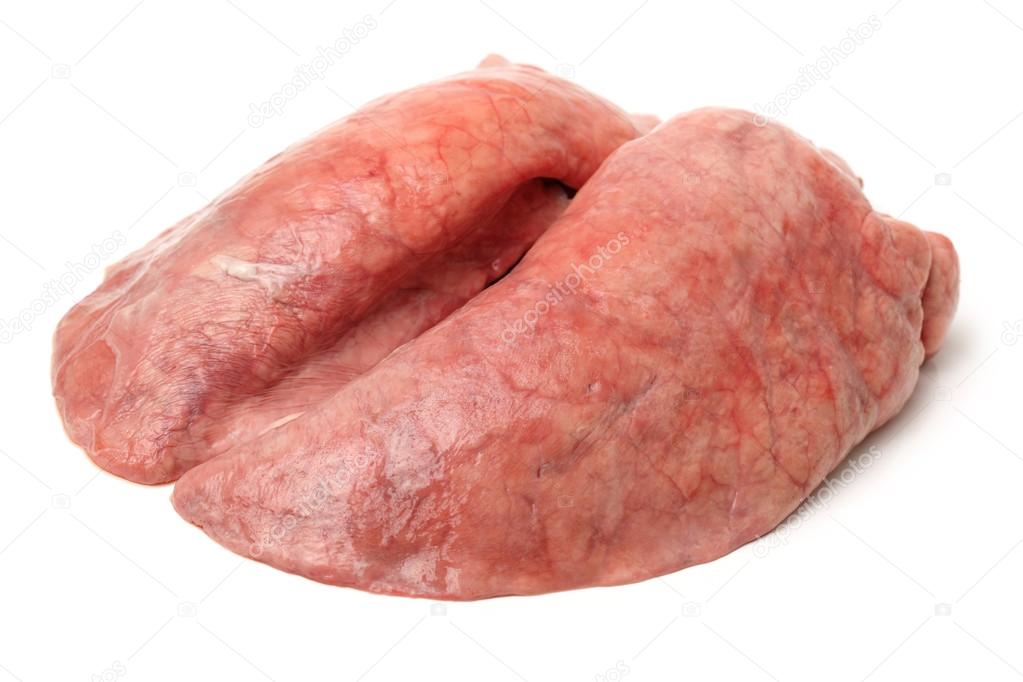 depositphotos_64376423-stock-photo-pig-lung-on-white.jpg