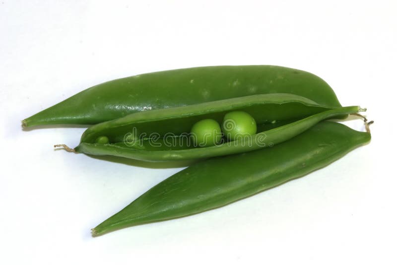two-peas-pod-16344451.jpg