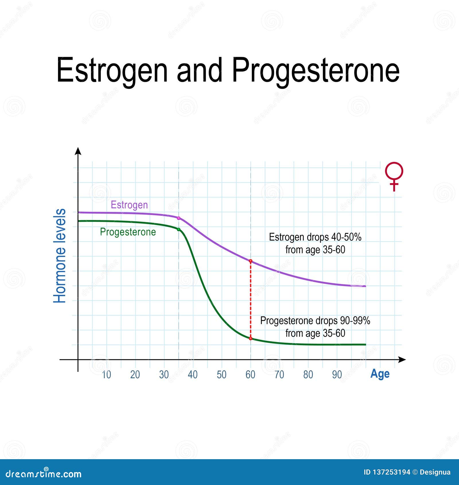 Estrogen, Progesterone and Aging Stock Vector - Illustration of anatomy ... Estrogen, Progesterone and Aging Stock Vector - Illustration of anatomy ...
