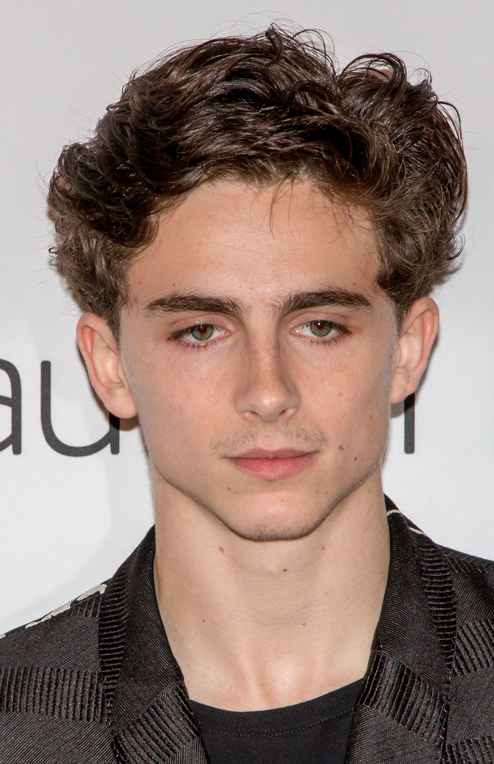 Image result for timothee chalamet Image result for timothee chalamet