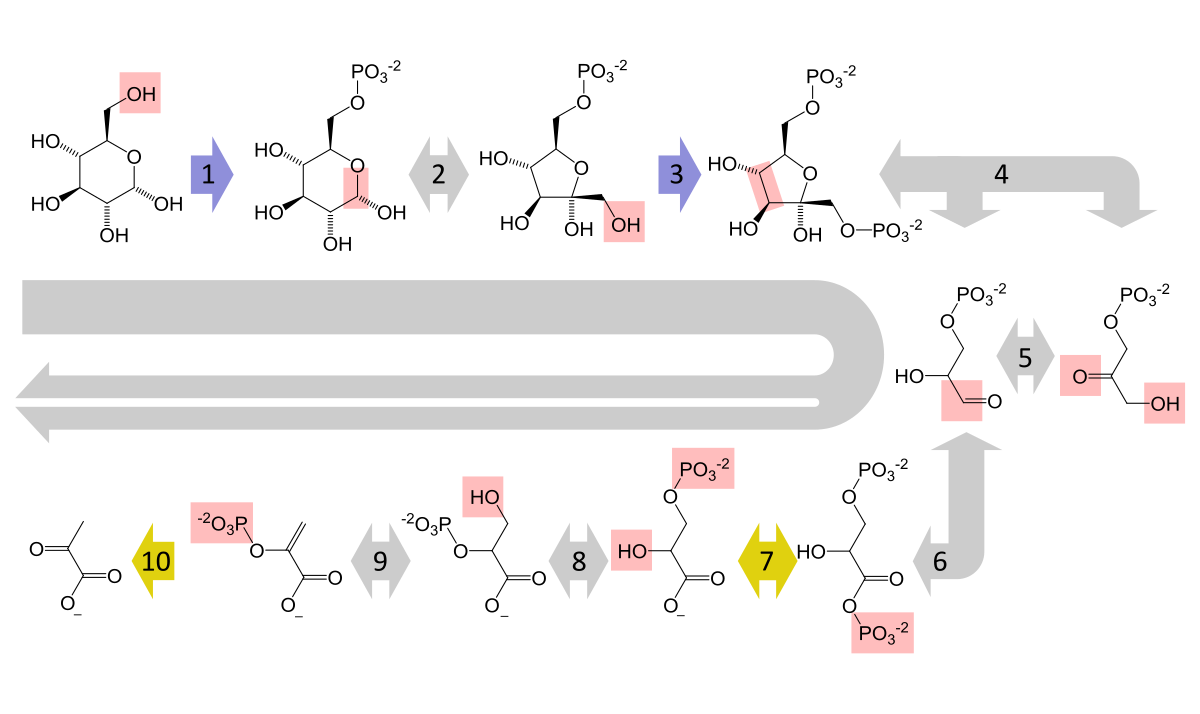 en.wikipedia.org