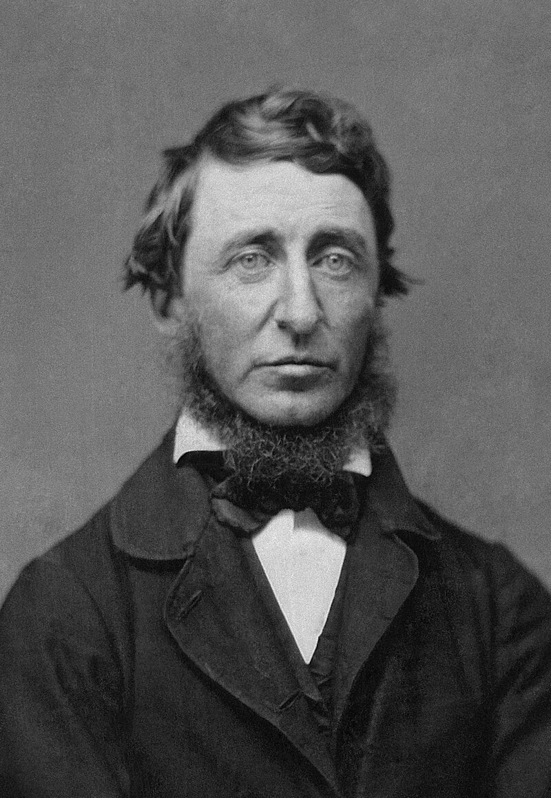 800px-Benjamin_D._Maxham_-_Henry_David_Thoreau_-_Restored_-_greyscale_-_straightened.jpg