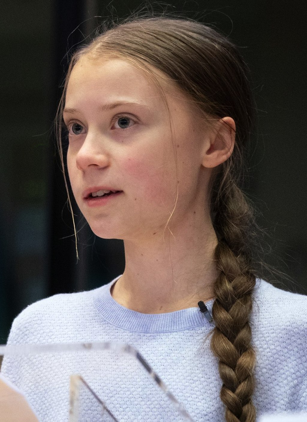 1024px-Greta_Thunberg_urges_MEPs_to_show_climate_leadership_%2849618310531%29_%28cropped%29.jpg