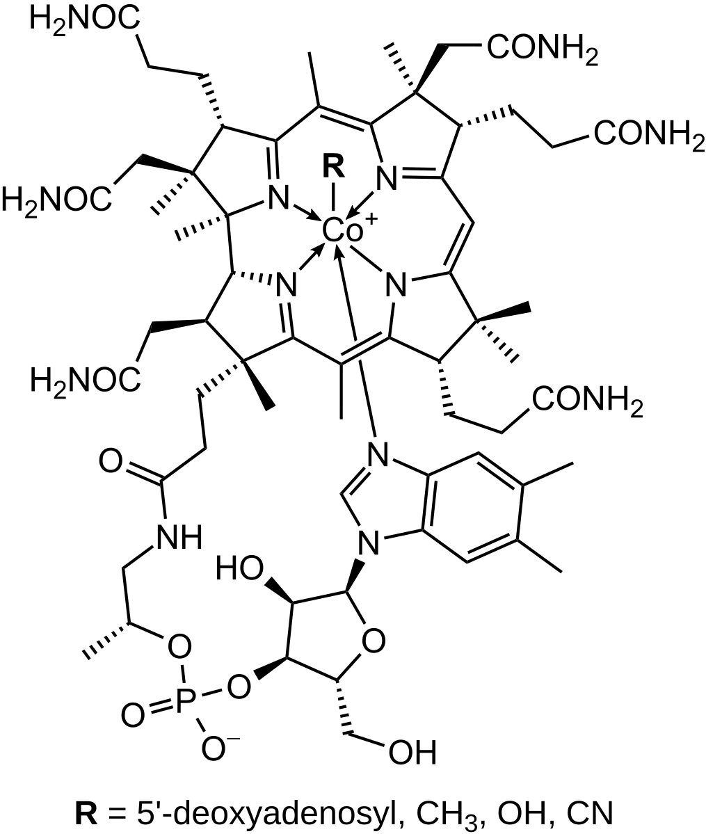 en.wikipedia.org