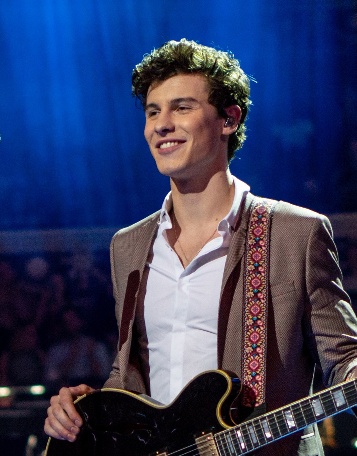 1200px-Shawn_Mendes_at_The_Queen%27s_Birthday_Party_%28cropped%29.jpg