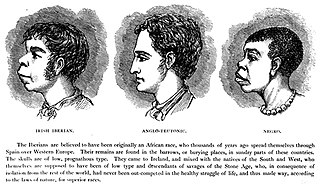 File:Scientific racism irish.jpg - Wikimedia Commons