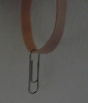 Clip Detail Clip Detail