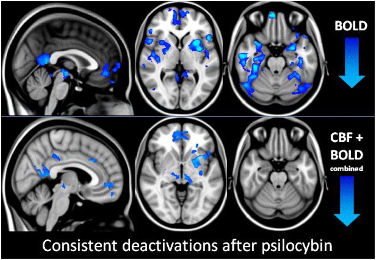 pnas.1119598109fig04.jpeg.e340c7ddc12b1497f5465fb19b995ce7.jpeg