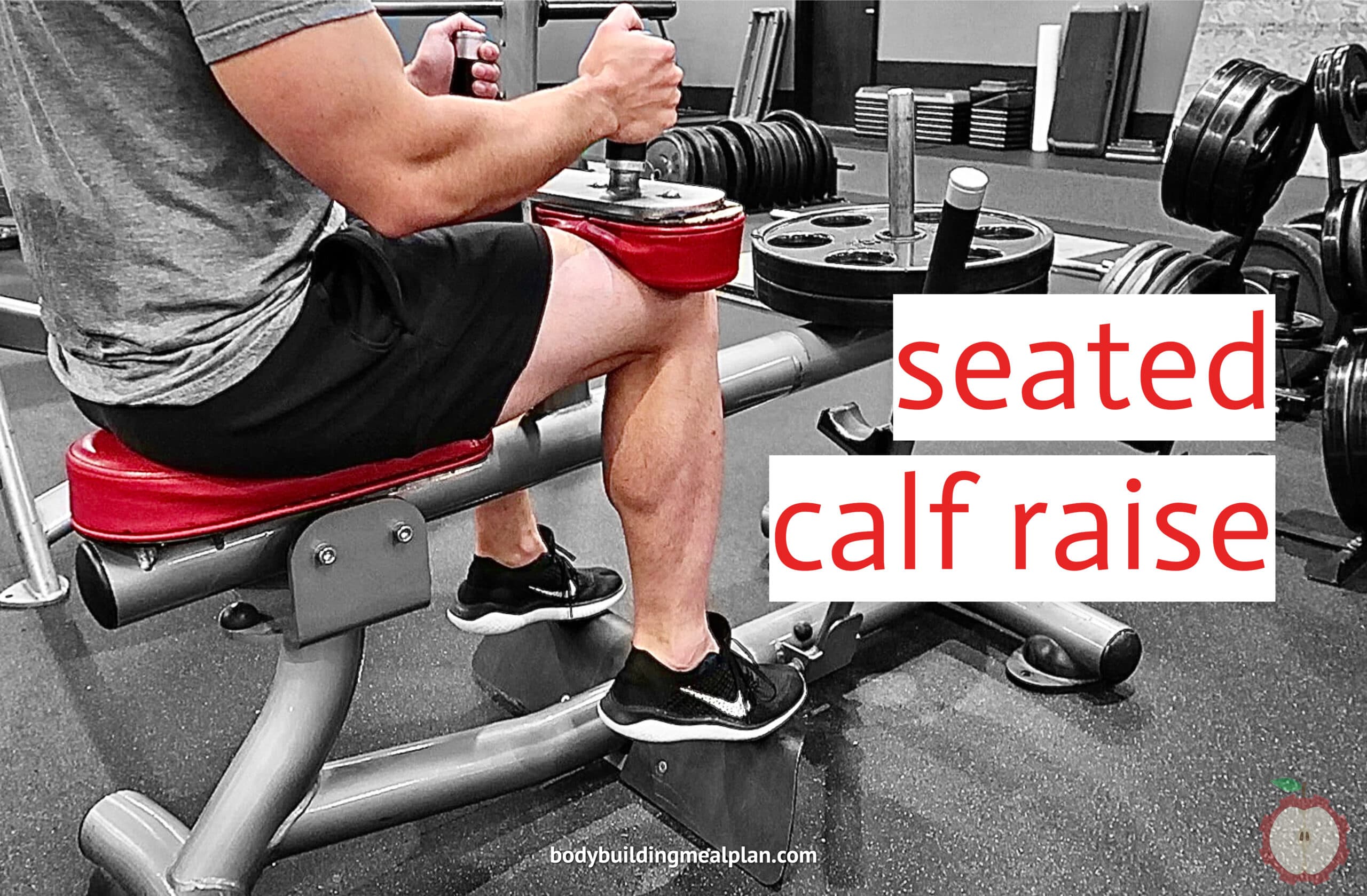 Seated-Calf-Raise-scaled.jpg