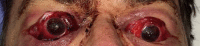 Figure 1. Figure 1.