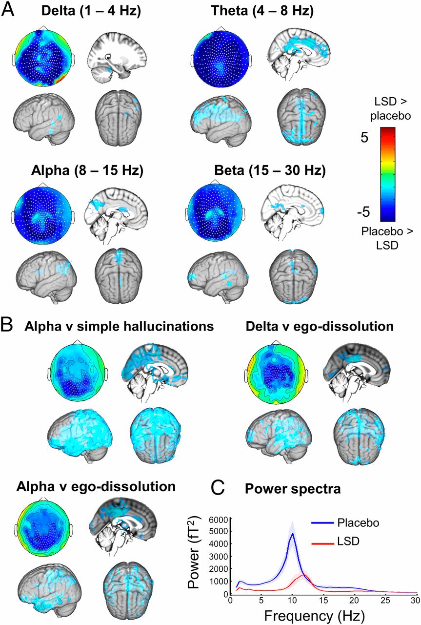 pnas.1518377113fig05.jpeg